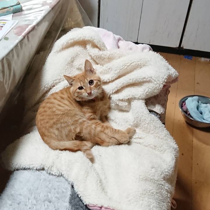 A6580e98 e063 480c 9c81 aaafd5c317b1 1634343027761