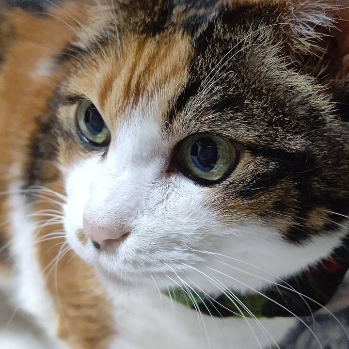 A658197b 35d0 47d5 934d 768a095f9b32 1663058123232