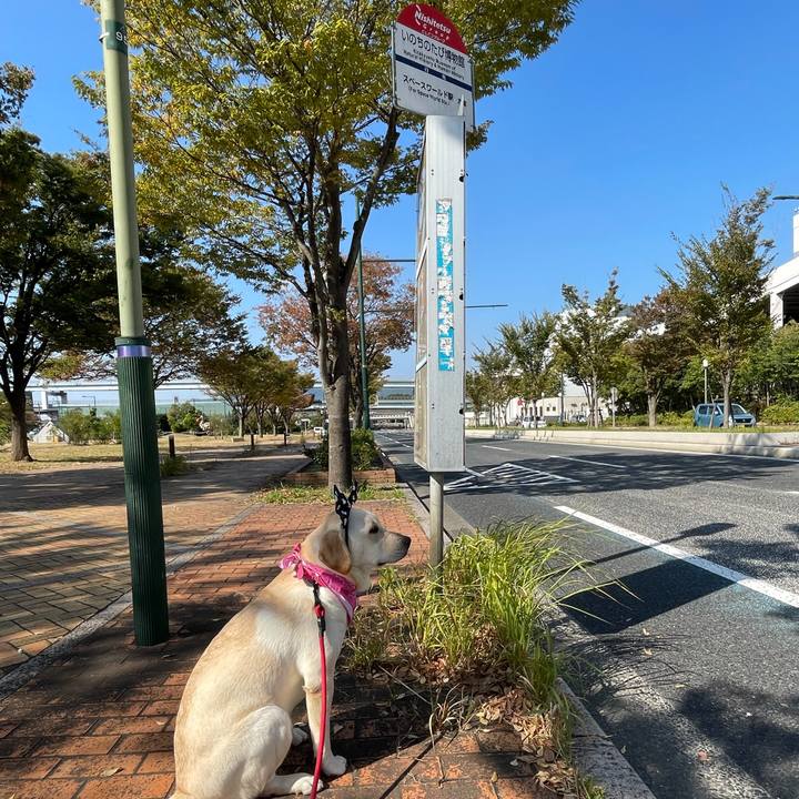 A6582b14 7015 449b 800c ad9aa705bcdc 1635379923116