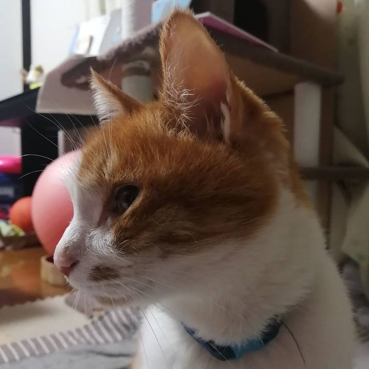 A65833d6 a12d 45e5 8ebf 4e52a84c3d61 1618699766884