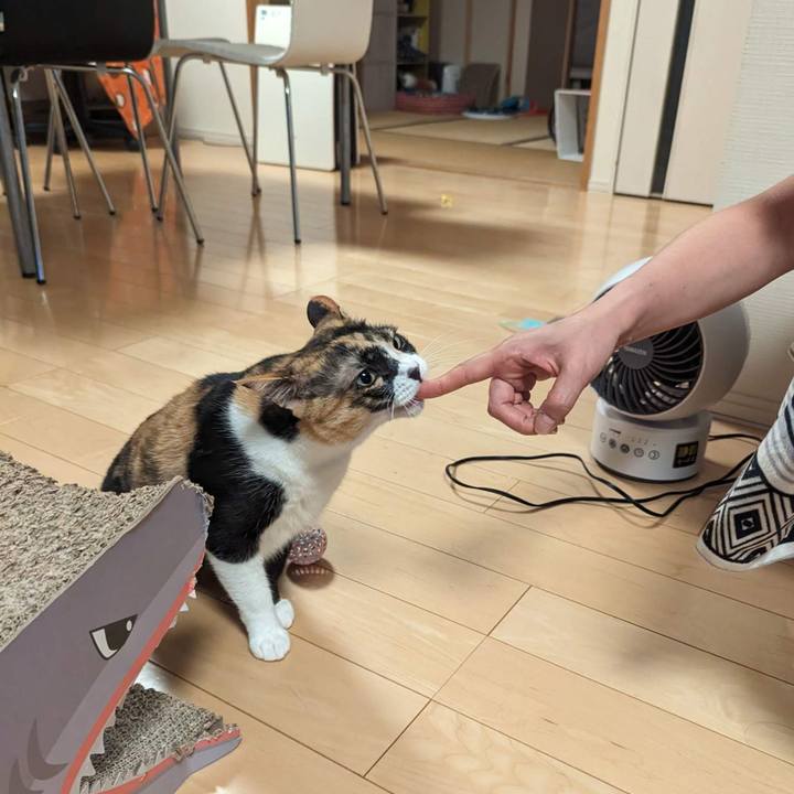 A65855d9 f071 420d 97d8 9f9ddc0b994d 1692248586354