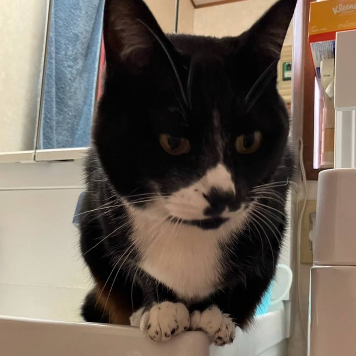 A65862cc 6725 492b a77c 86b63c71417c 1706758454347