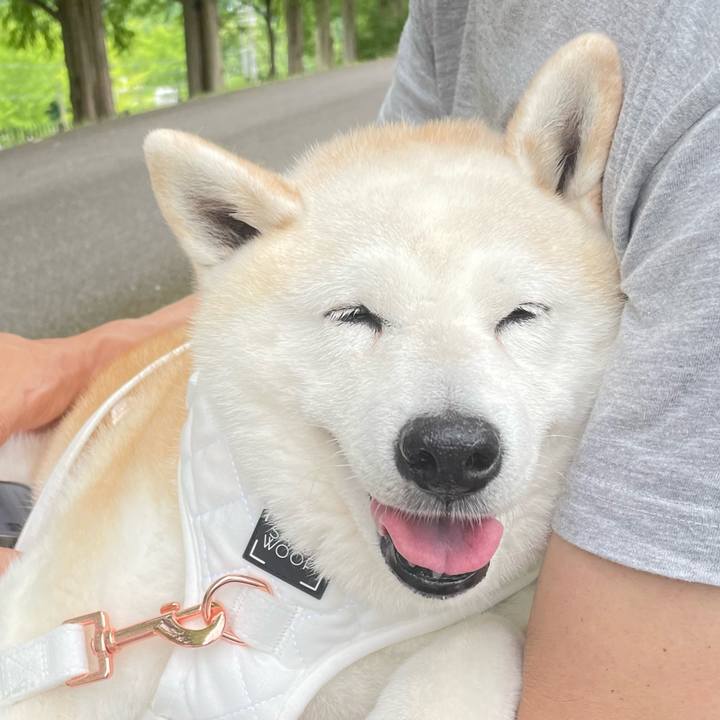 A6588b09 cddd 4ed8 bee3 9242ca2a7fd7 1655618476009