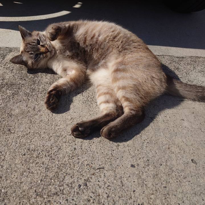 A6589dfa 6952 4247 87ed 829b04995fb0 1732332480498