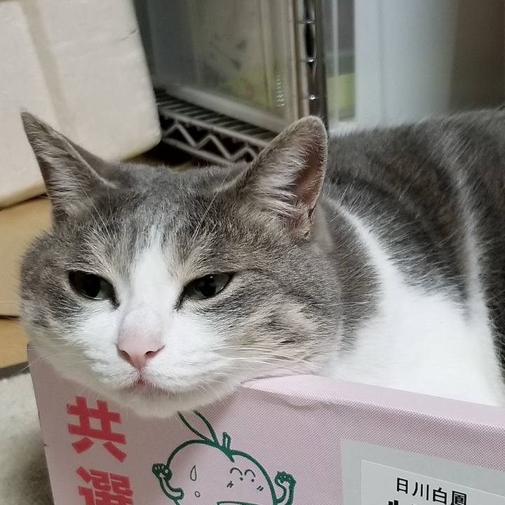 A658d79f c6a0 4de4 a2a6 ba9d70162ba6 1533733460777