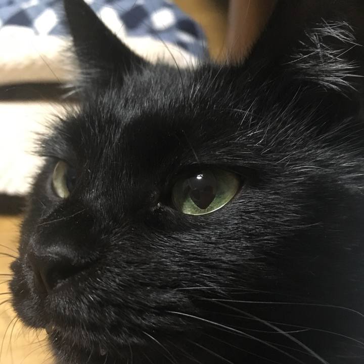 A658fb15 e636 46fb 884c 105e8453730c 1541836464325