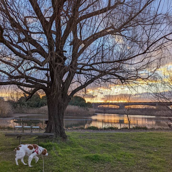 A6599a5d a6c3 47a9 ab06 9c1851f33e05 1641555841124