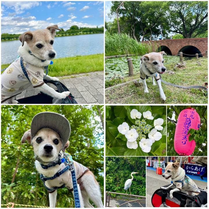 A6599d69 5739 4a62 a742 968d46dd4df4 1748775917079