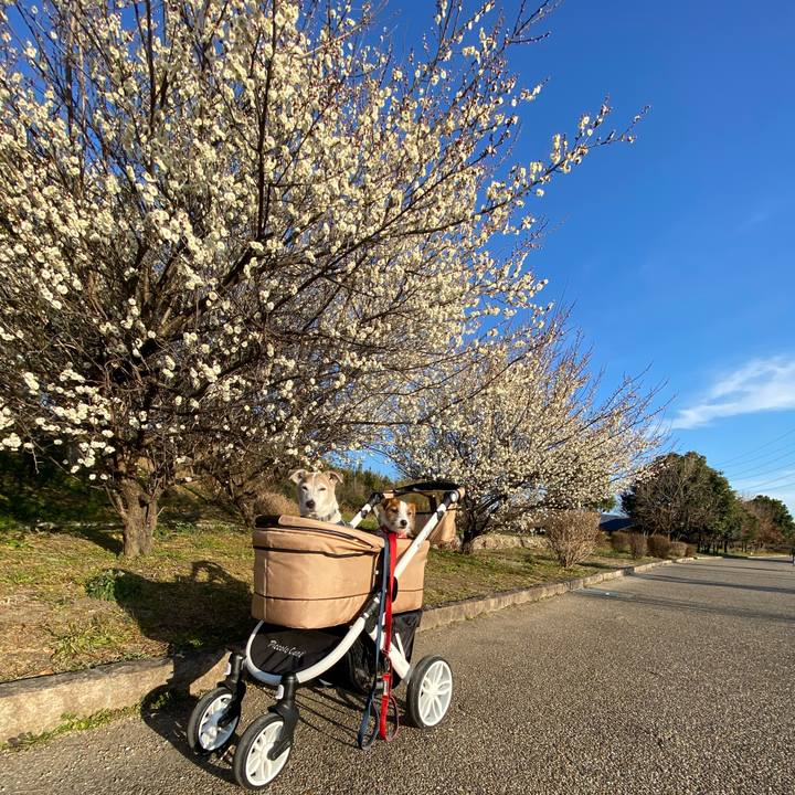 A659c80e 8289 4eb7 9bbb 8d2104733d73 1646082744740