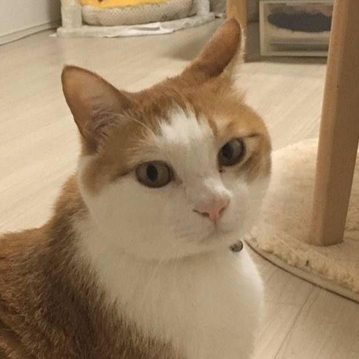 A659f10e da3f 4866 9248 a087c5e0d639 1588762149942