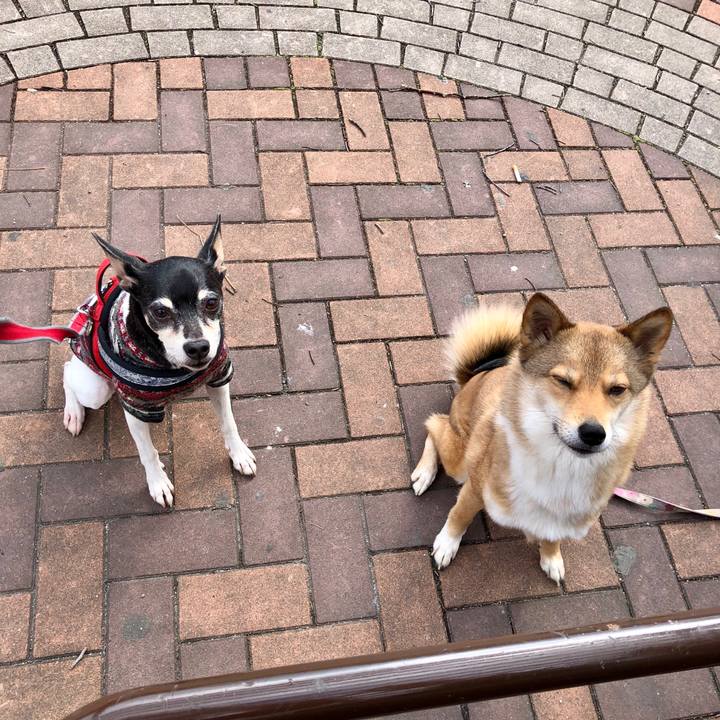 A65a087f 86f8 41bd aa24 ad509868c901 1552774801659