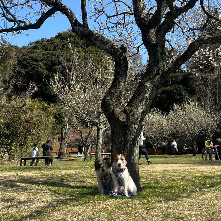 A65a4f5b cd69 4ef6 b066 d7b061102d8a 1772363678872