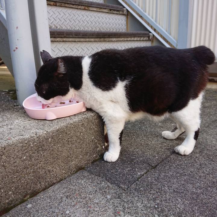 A65a7d77 0e9b 4764 a4a0 b7bce8146e62 1592294050760