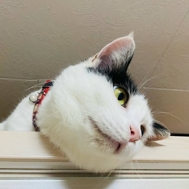 A65ab241 3bbf 4a8a 9c7f 4af76463aa65 1654089700481