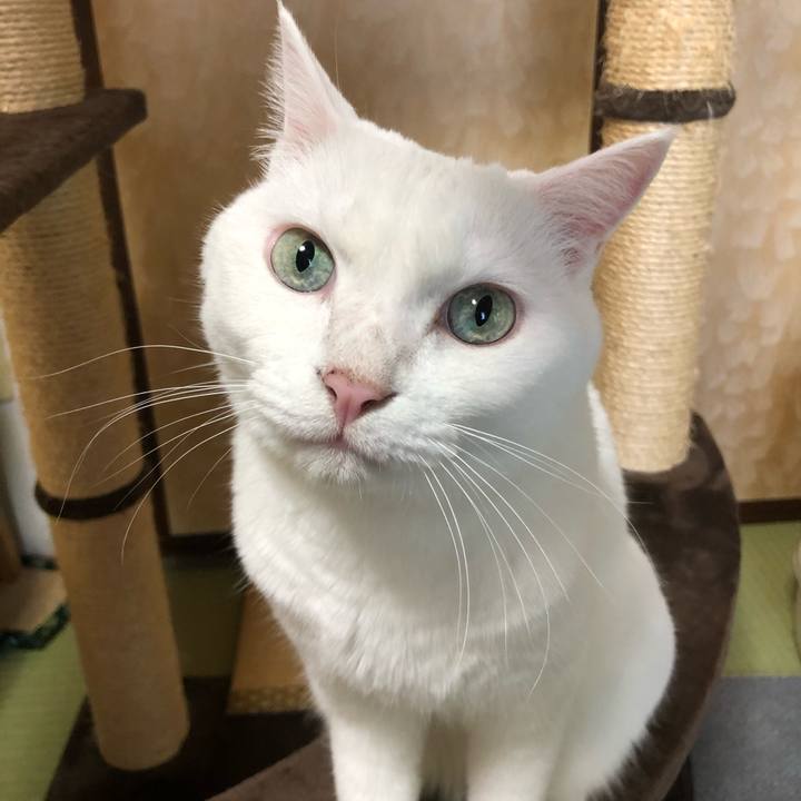 A65b1293 f9da 47c7 b6bc ed0f0d7f9dd2 1660193556400