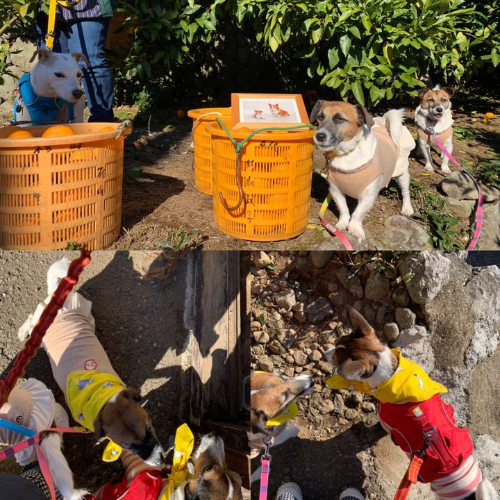 A65b1fca 4073 4506 844b e72f8f869ce2 1639389443933