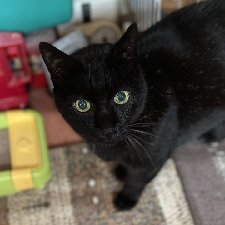 A65b278a ccae 4bd5 9c98 cda48f37c6f9 1671241647880