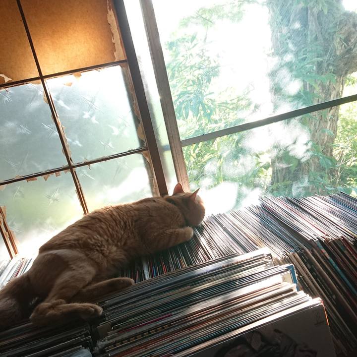 A65b5820 1420 4ffb 842d 5d6c31ab40eb 1656665723326