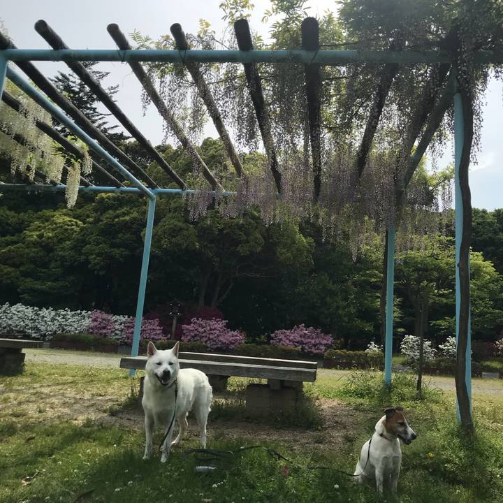 A65b92db e2f4 490f 9d9b 3d12c60b664c 1525061809443