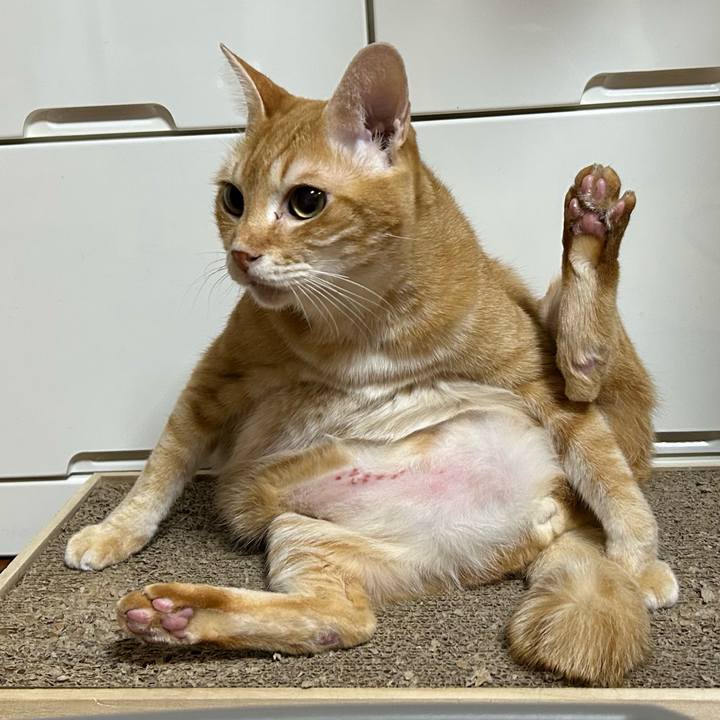 A65bbee8 5cd5 4bc5 baa9 6905f4ec2e17 1673219055600