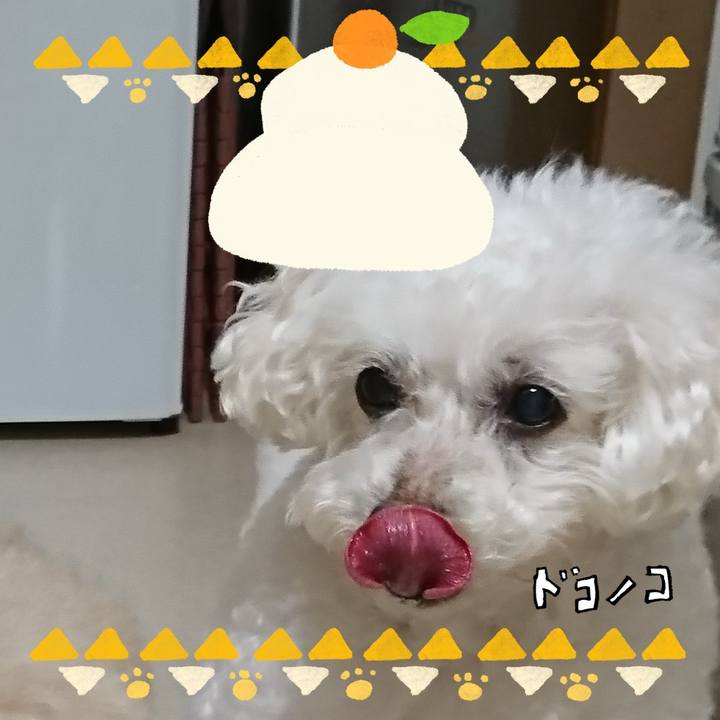 A65bd338 b723 4d1e b1f0 bc7d998f144a 1704241552153