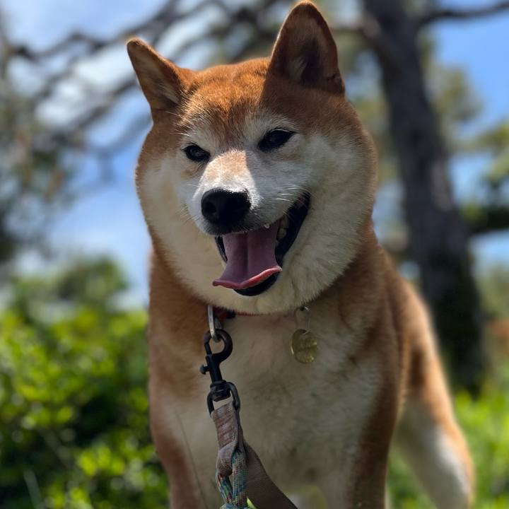 A65bf98e ea82 4be6 97c2 3b8edce0bac0 1652054176457