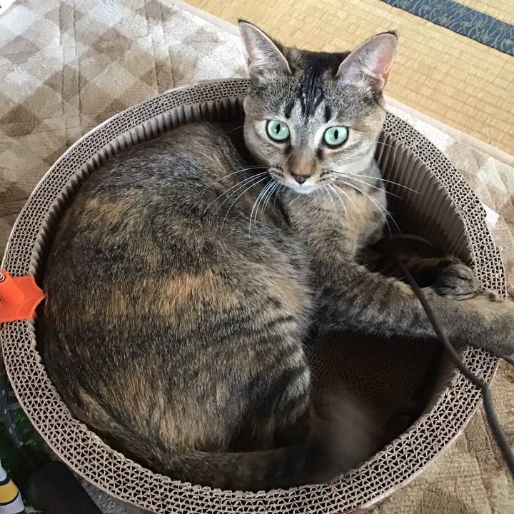 A65bf9bb b3d3 4acc 935b 3357e751e292 1607649759302