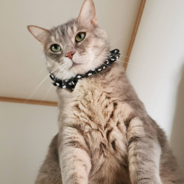 A65c33ee 2634 4b9d 8153 f78f0703b1ab 1650253640659