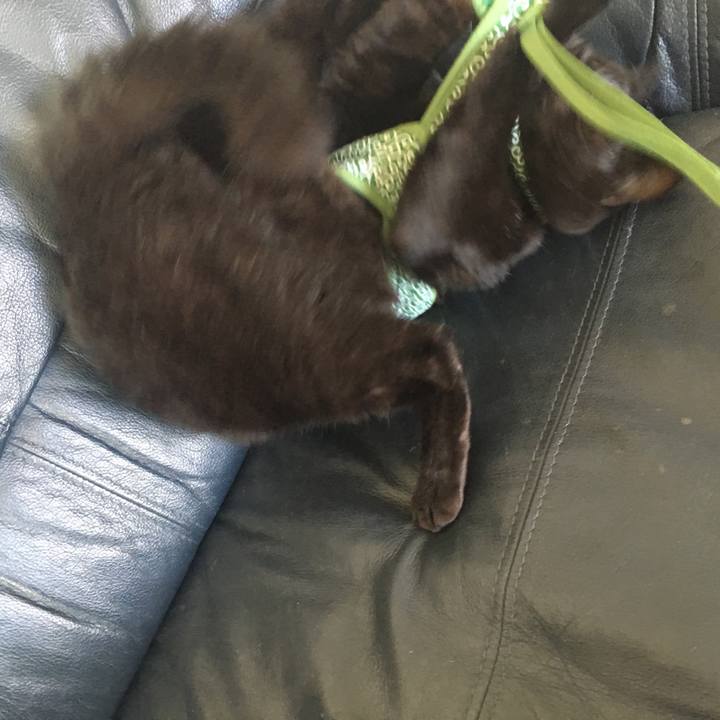 A65c86eb 2bf9 44e3 a2df 2b2c7765be76 1534039407063