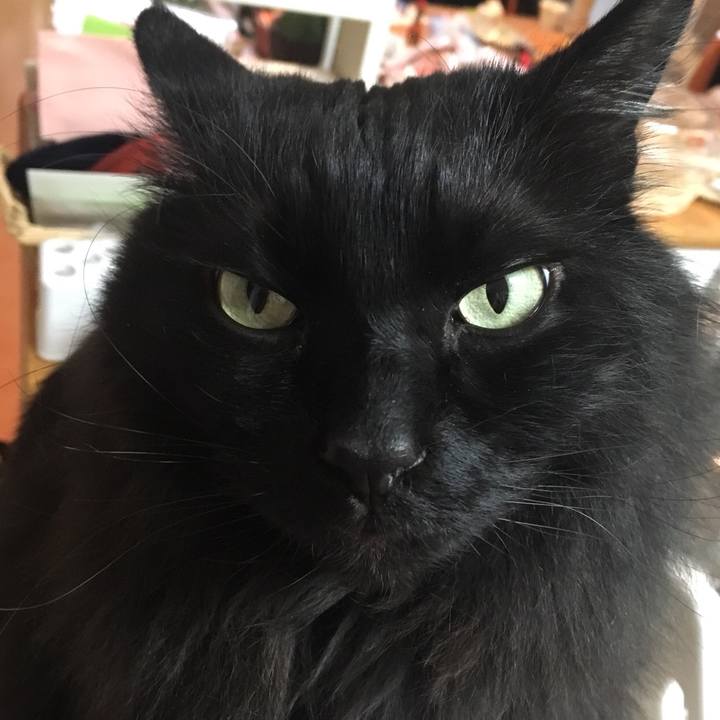 A65c8d47 1508 4d82 967f d86382ffcbdf 1552066194848