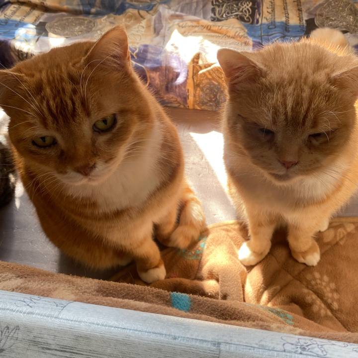 A65cccfc f6ee 4aef 8e59 6b335ac17aee 1645069478546