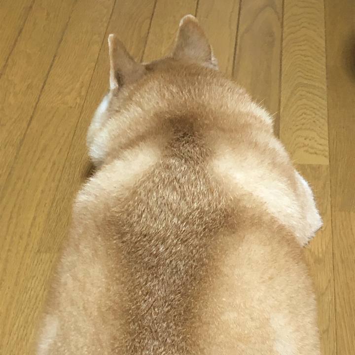 A65cecb9 eb9c 47d2 905b 080466103cff 1601104748605