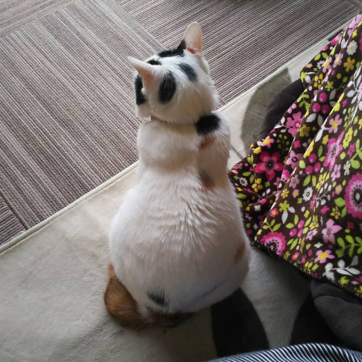 A65d2557 97f9 401d bfa4 825a284195d6 1556698678733