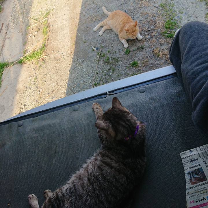 A65d3d19 f233 4561 9443 8cd62447eac5 1588405340543