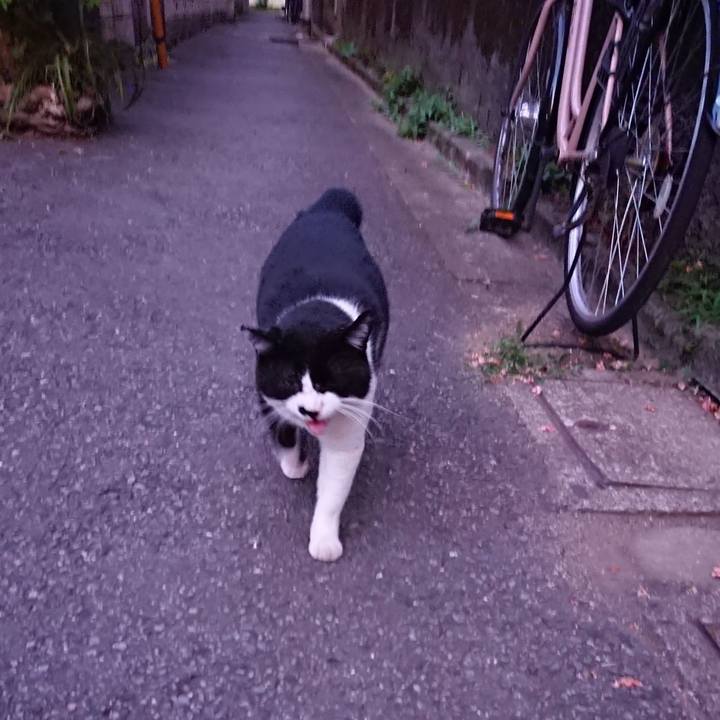 A65d63c1 6b4e 4ed2 98ef 63336c022f65 1532169358207