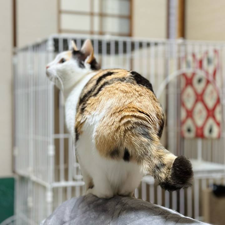 A65da004 5a20 49a1 b952 ab3976b349e3 1710725643407