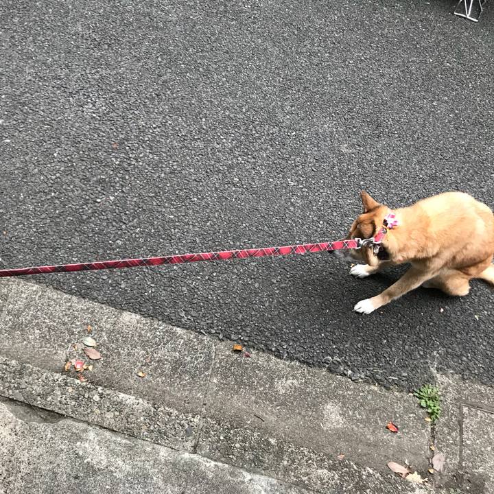 A65dad2a b6bd 4f95 9877 4f8b711eec11 1523400156865