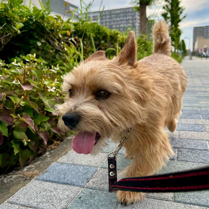 A65dc9d6 751a 4f49 8c4c eafbba564efd 1749222678634