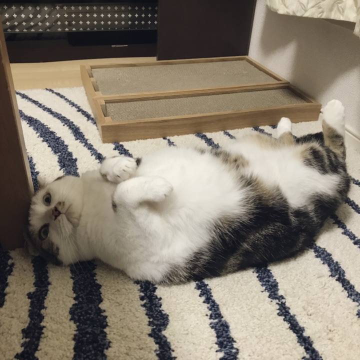 A65ddb49 e4b9 4fbb 9766 a636e0c6c918 1565672620665