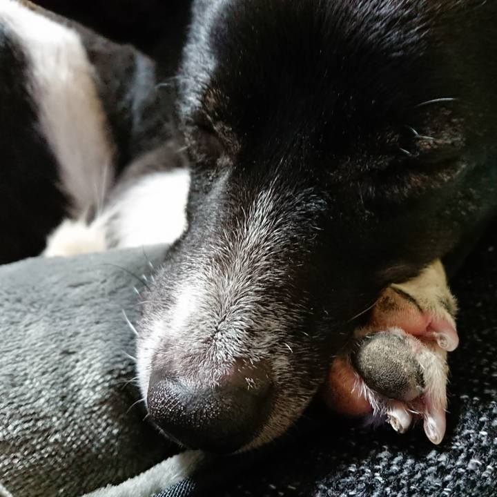 A65e1454 c087 4231 ac87 8dea1e5fb21b 1515507382365