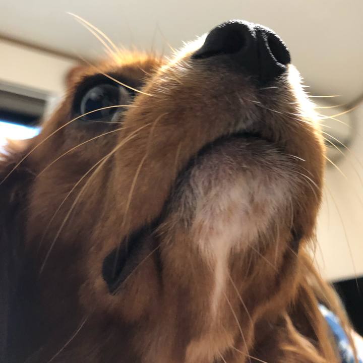 A65e176b afac 4f90 b110 2c4d7b8469ac 1535110618394