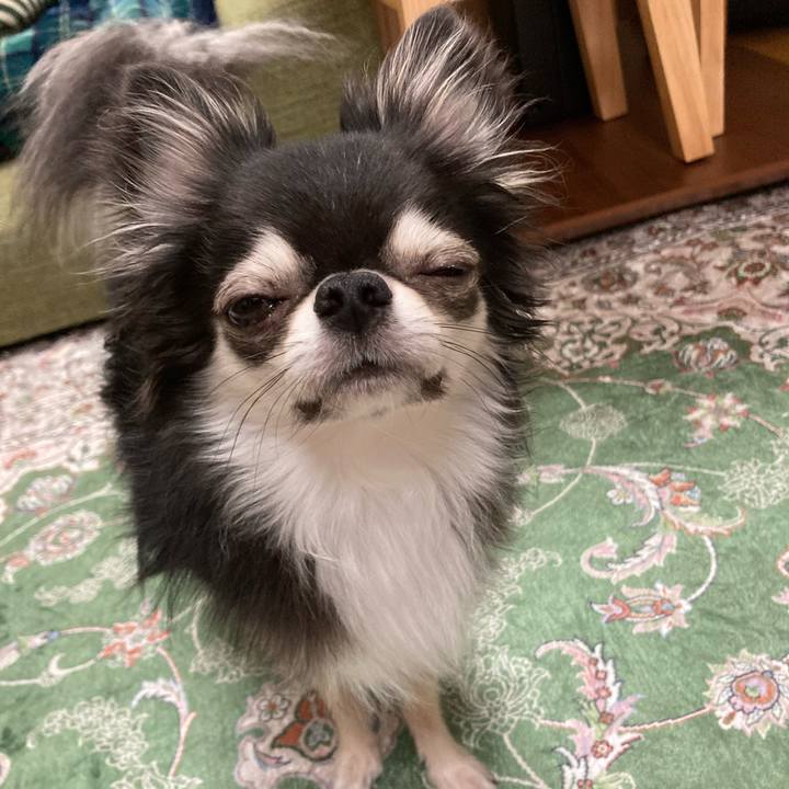 A65e439b 0cfc 48c4 8092 43d2bc86d016 1663421599598