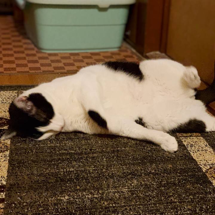 A65e5eed 7e3f 426c 8dda 3d0c66d58cd7 1554000121477