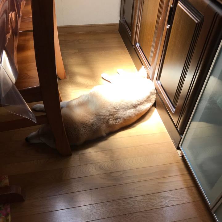 A65e9bbe 8266 4b87 aee0 7844ac7c2db2 1531139090187