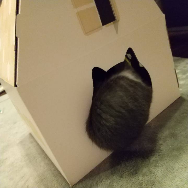 A65ed89e 43cc 4dcc 8314 f42e19ecf05a 1602165422732