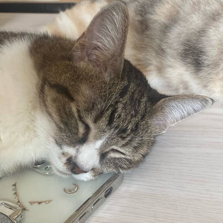 A65f2b5b 8a5d 43ea aa14 3fedd35736b6 1724557970321