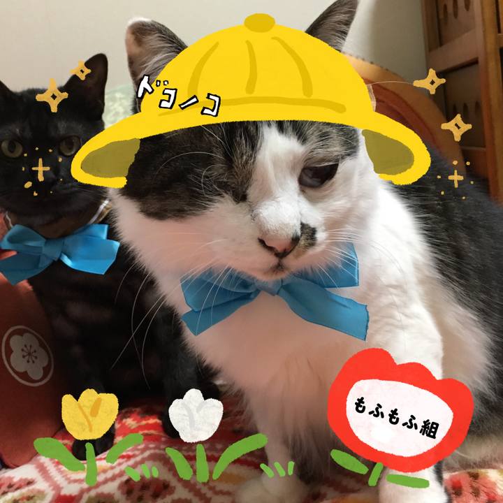 A65f4928 cc90 4a71 8e90 d80d1cf5a03f 1712219268051