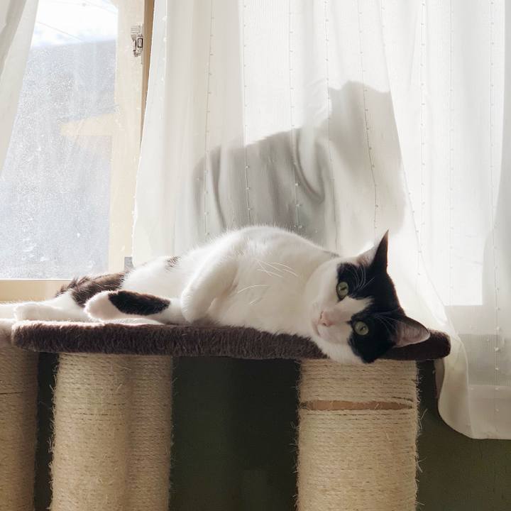 A65f6e5f 2ce5 4c22 a2fb 9d347a2087f5 1542862021407