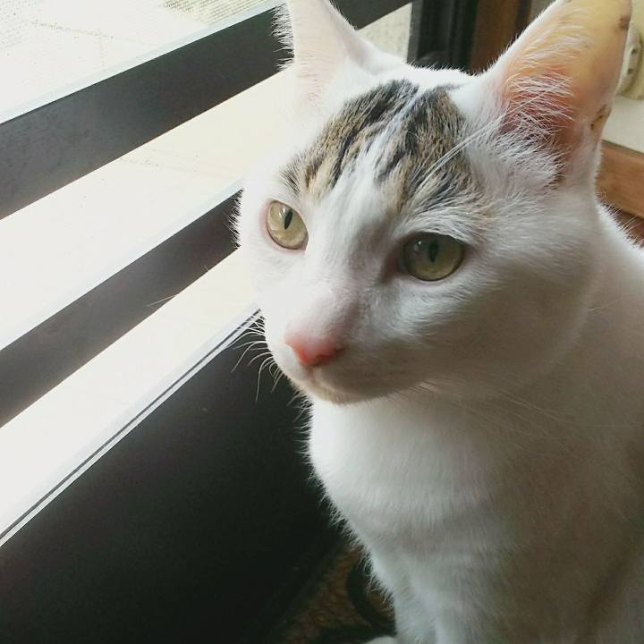 A65fa118 032a 4258 a98b 846742f38aa5 1523962023279