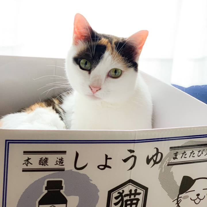 A65fb528 9fe8 4292 852a 63e4ae5c6bba 1565921221794